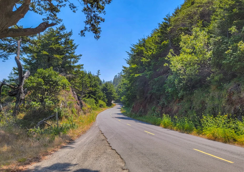 Mattole Road curving through forest in southern Humboldt County