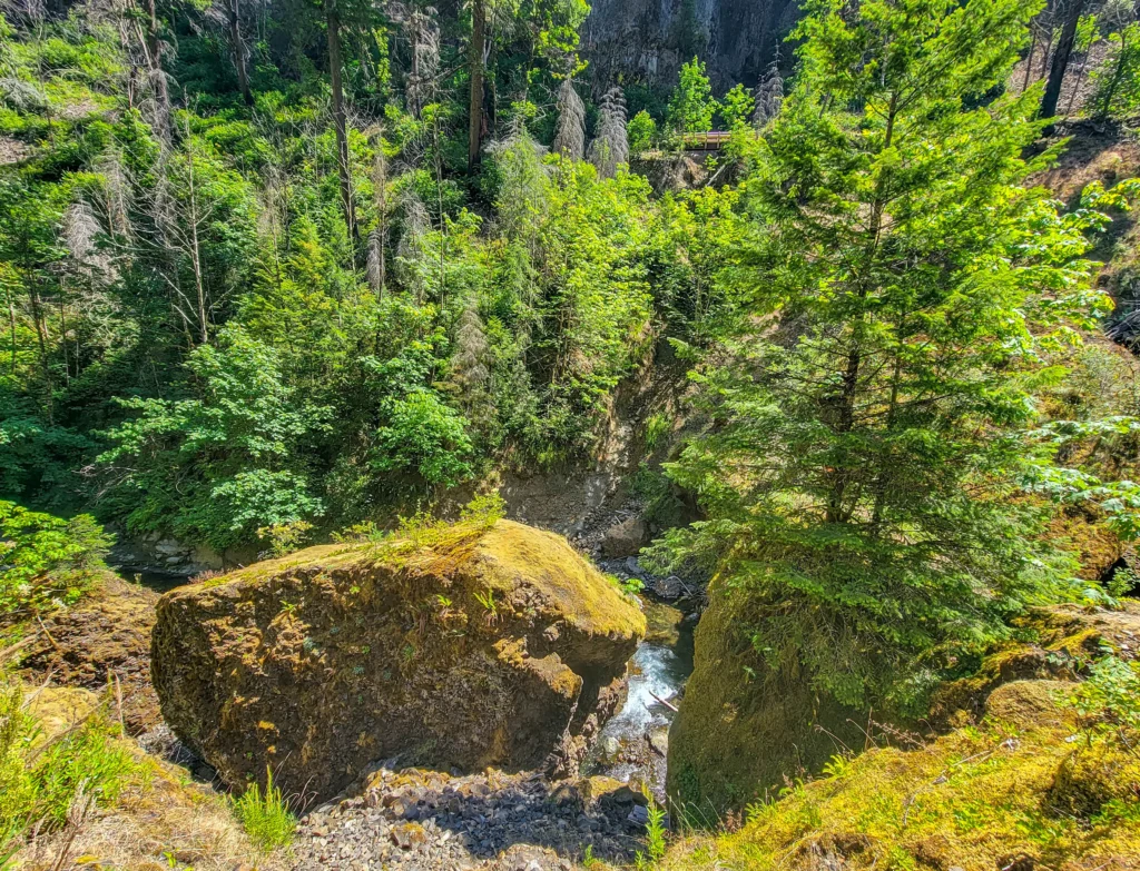 Small waterfall spilling beside the Wahclella Falls trail, Tanner Creek, Oregon
