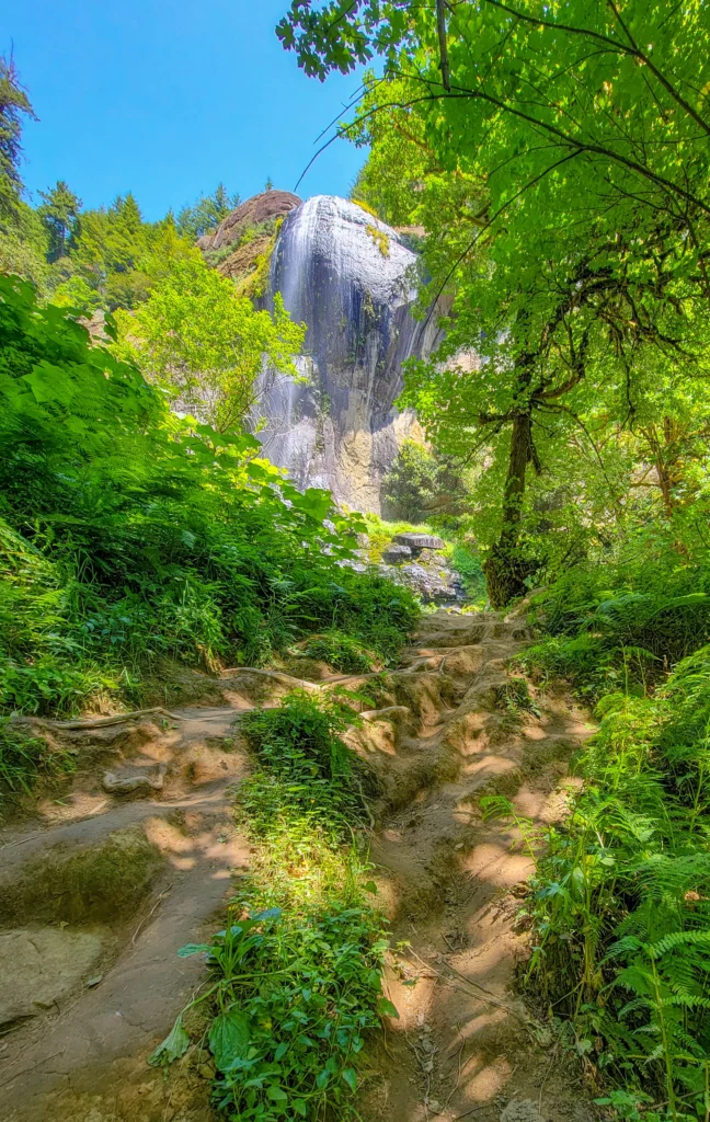First view of Silver Falls up the rooty approach trail