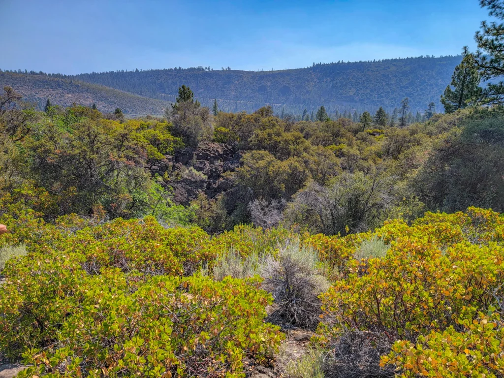 Above-ground return trail through manzanita and lava rock at Subway Cave