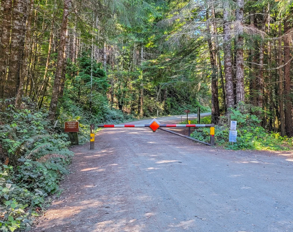 Locked gate across the Tall Trees Grove Access Road in Redwood National Park