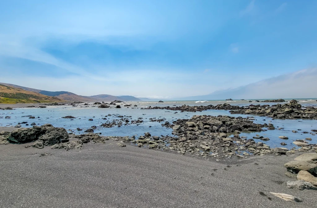 Tidepools exposed at low tide on the Lost Coast