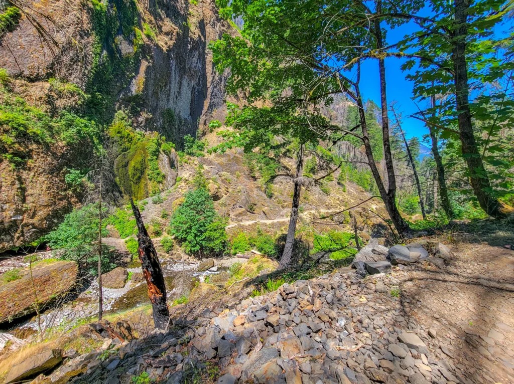 Log jam and detached boulder below Wahclella Falls, Tanner Creek, Oregon