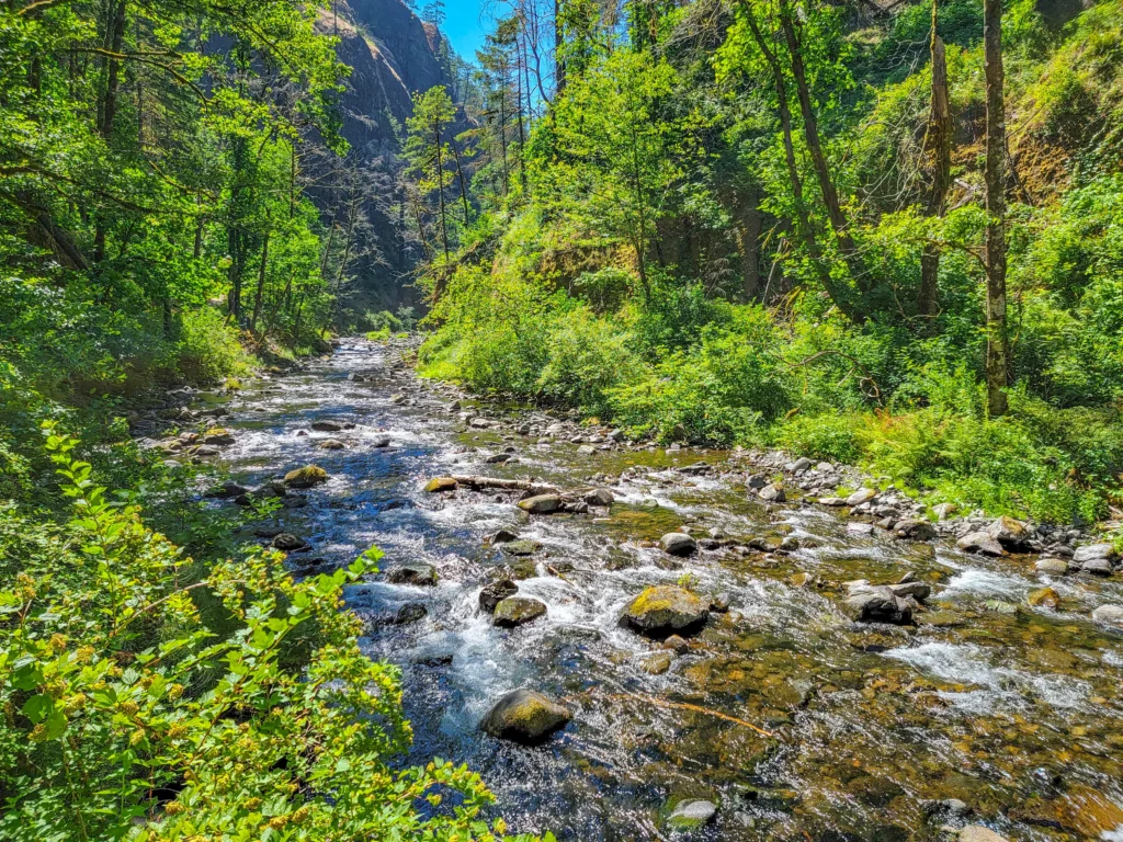Log footbridge over Tanner Creek on the Wahclella Falls trail