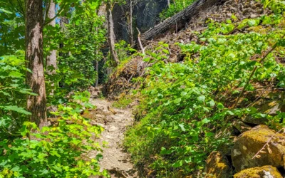 Horsetail and Wahclella Falls – Columbia Gorge – OR