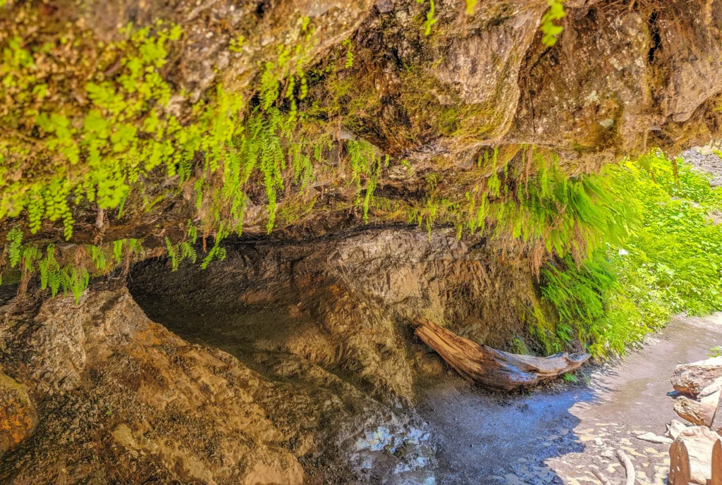 Basalt overhang above the Wahclella Falls trail, Columbia River Gorge