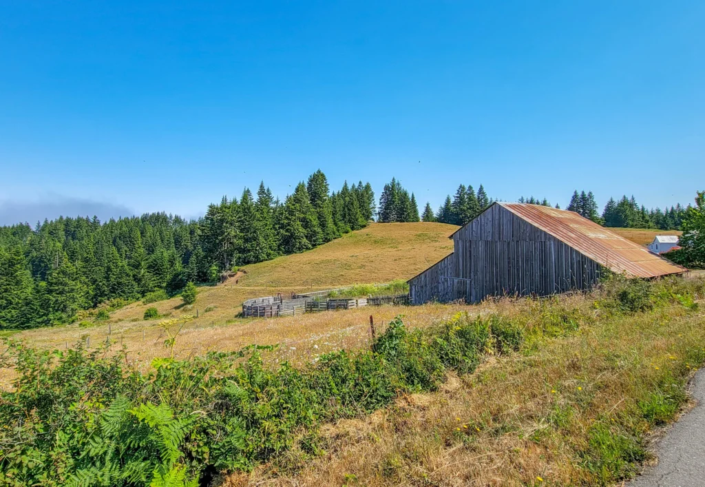 Weathered barn on a grassy hillside along Mattole Road