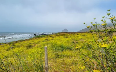 Lost Coast Scenic Drive – Mattole Road – California