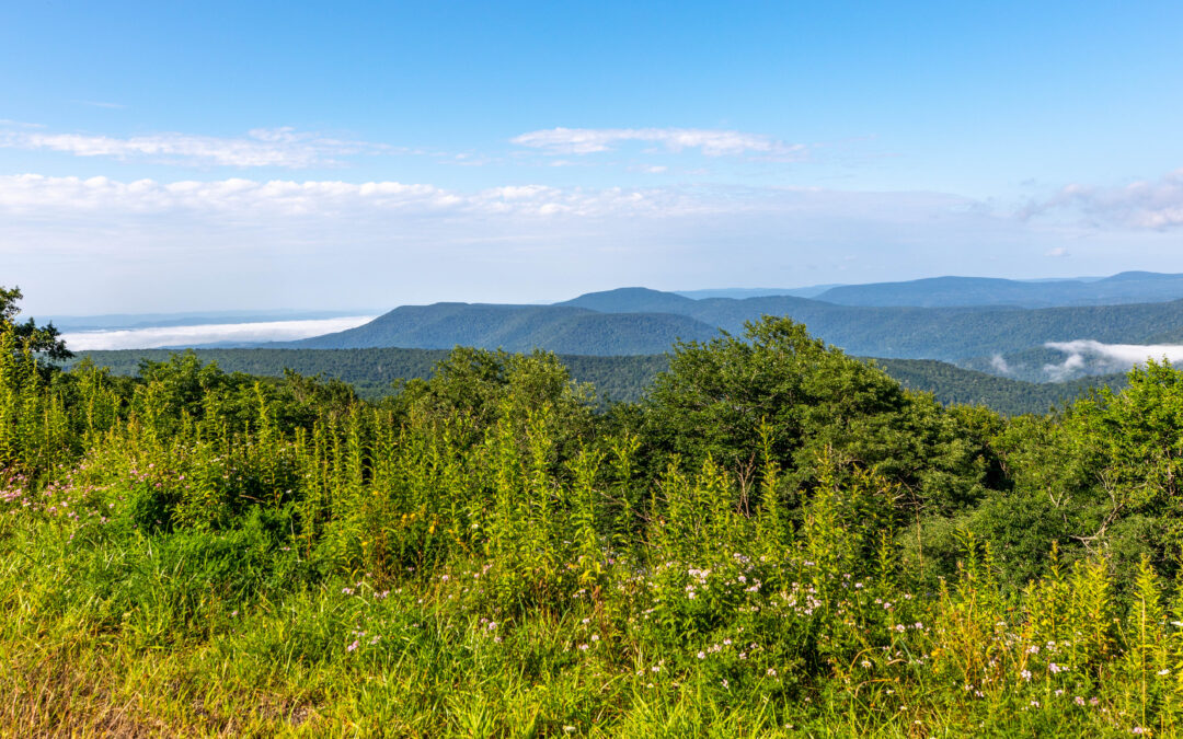 Hiking on West Virginia’s Highest Peak – Spruce Knob