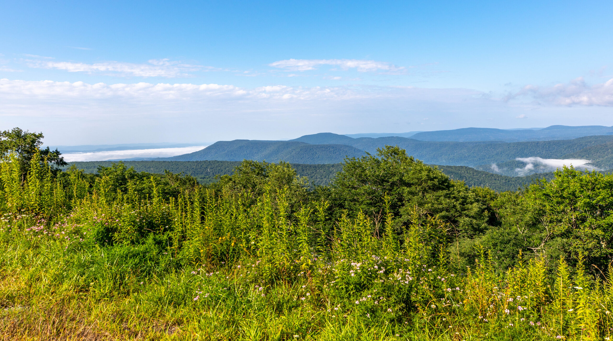 View from Spruce Knob