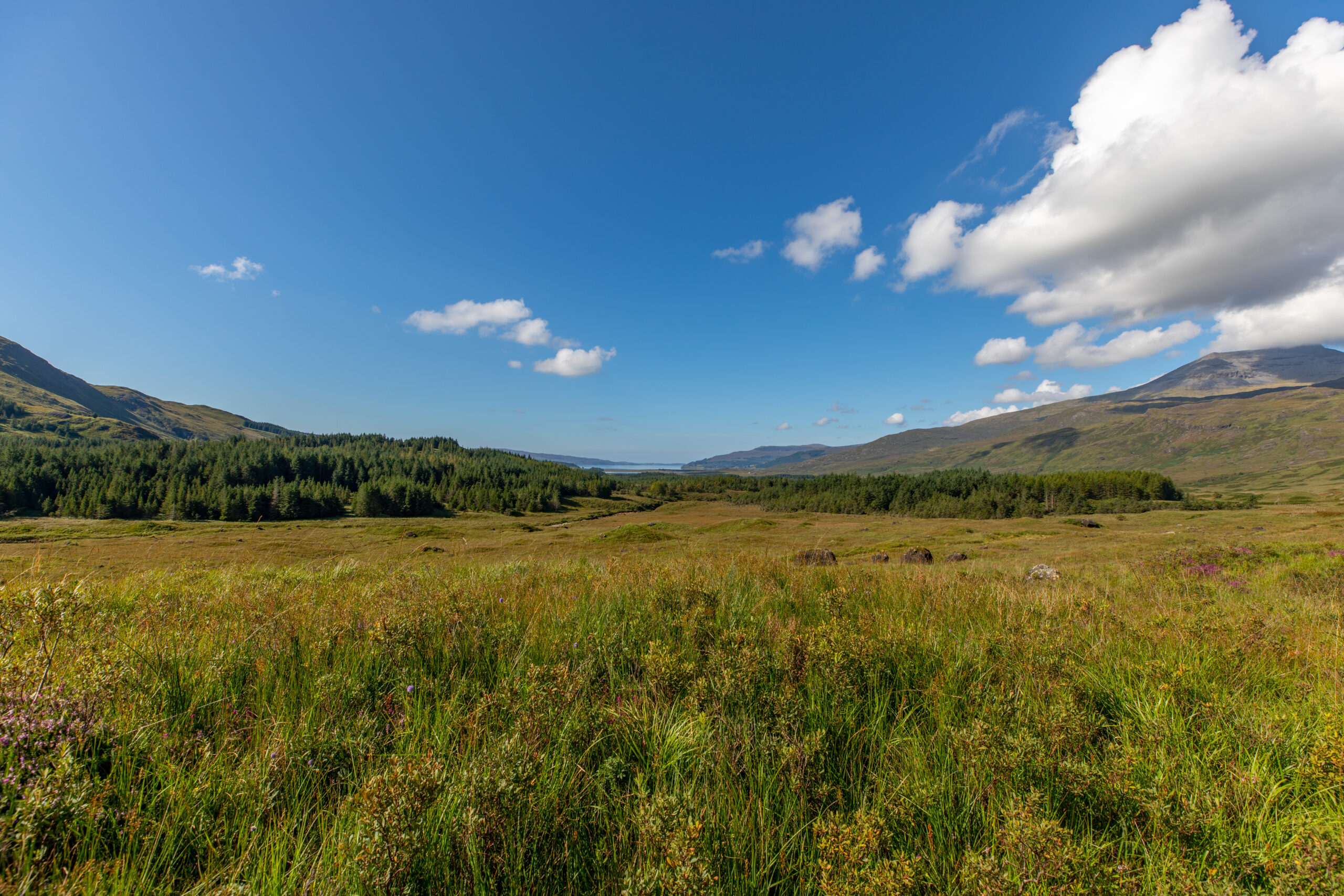 Isle of Mull Scenery