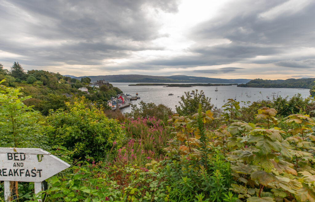 View of Tobermory Harbour