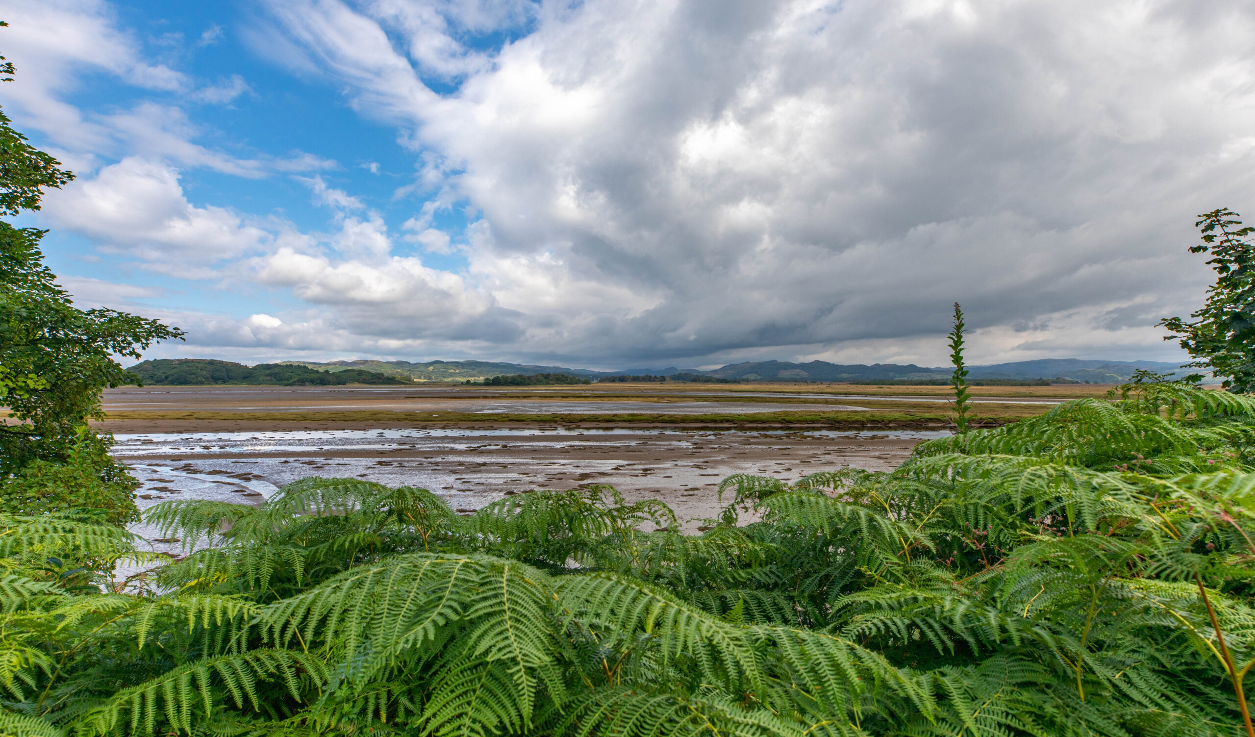 View of Moine Mhor