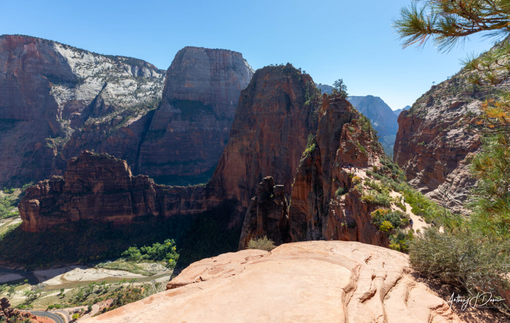 View of Angel's Landing from Scout Lookout in Zion National Park
