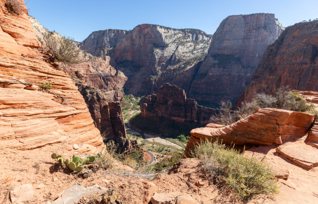 Zion Canyon from Scout Overlook