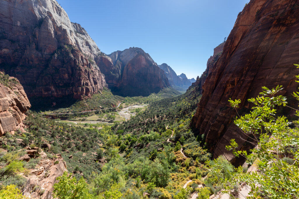 View of Zion Canyon from Scout Lookout in Zion National Park