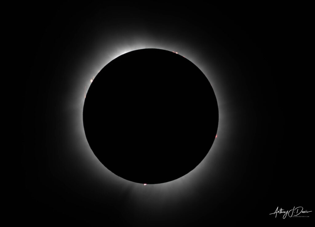 Total Solar Eclipse 24 prominences