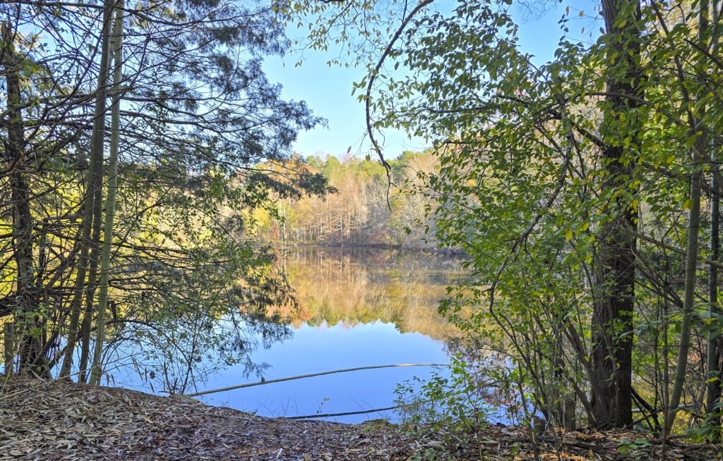 One of the ponds on Dog Leg trail