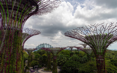 Gardens by the Bay – Singapore