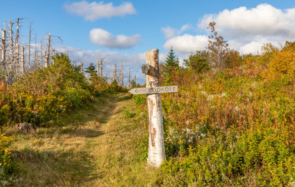 Fair Alistair's Trail Lookoff Sign