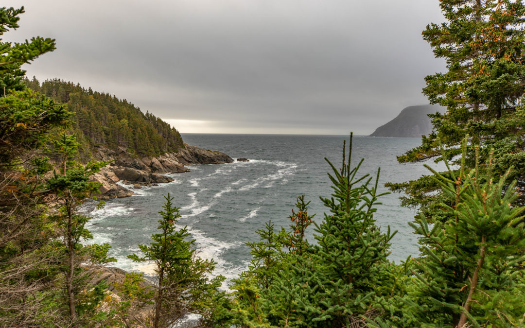 Cape Breton Island – Middle Head Trail