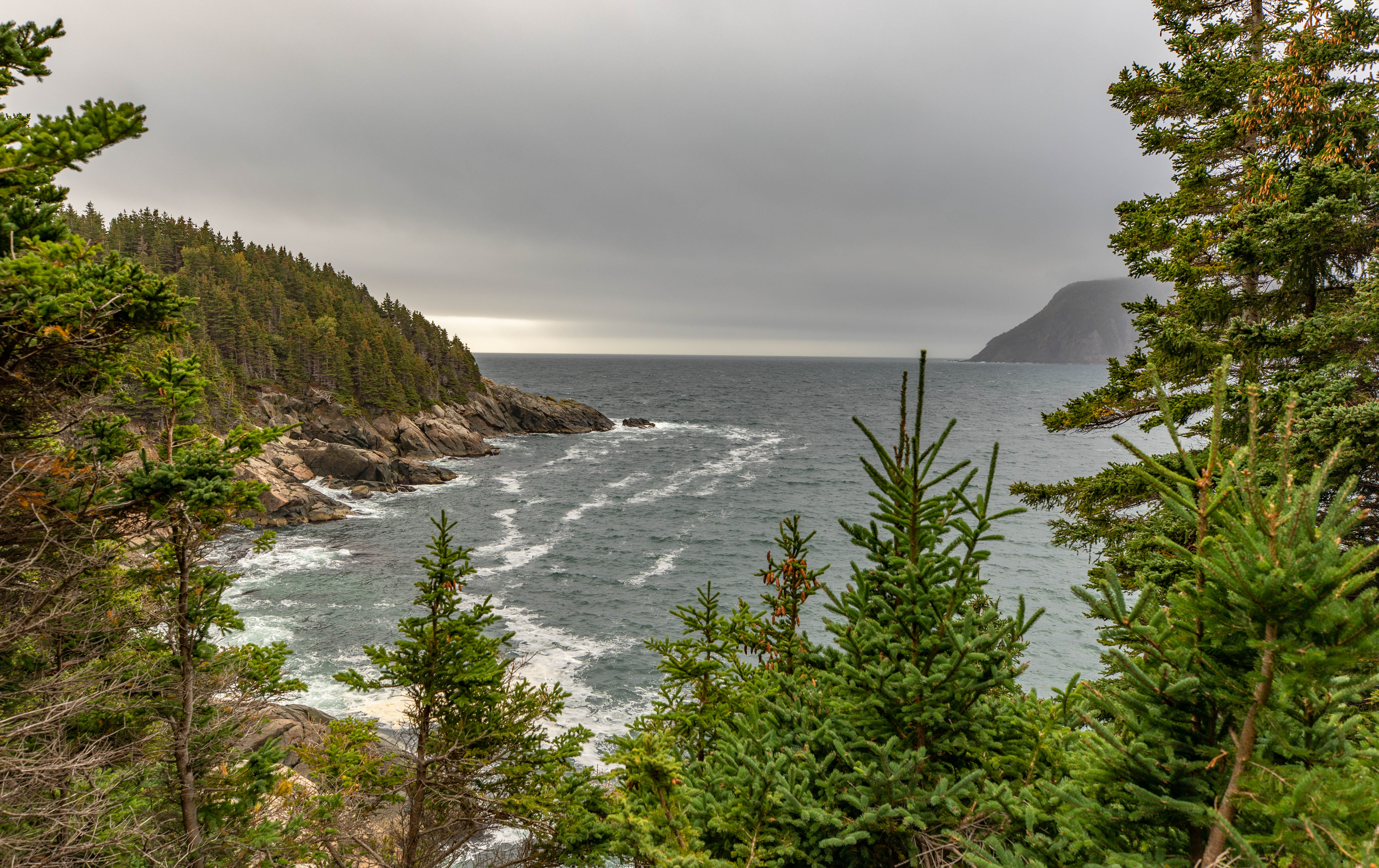 View from Middle Head Trail on Cape Breton Island