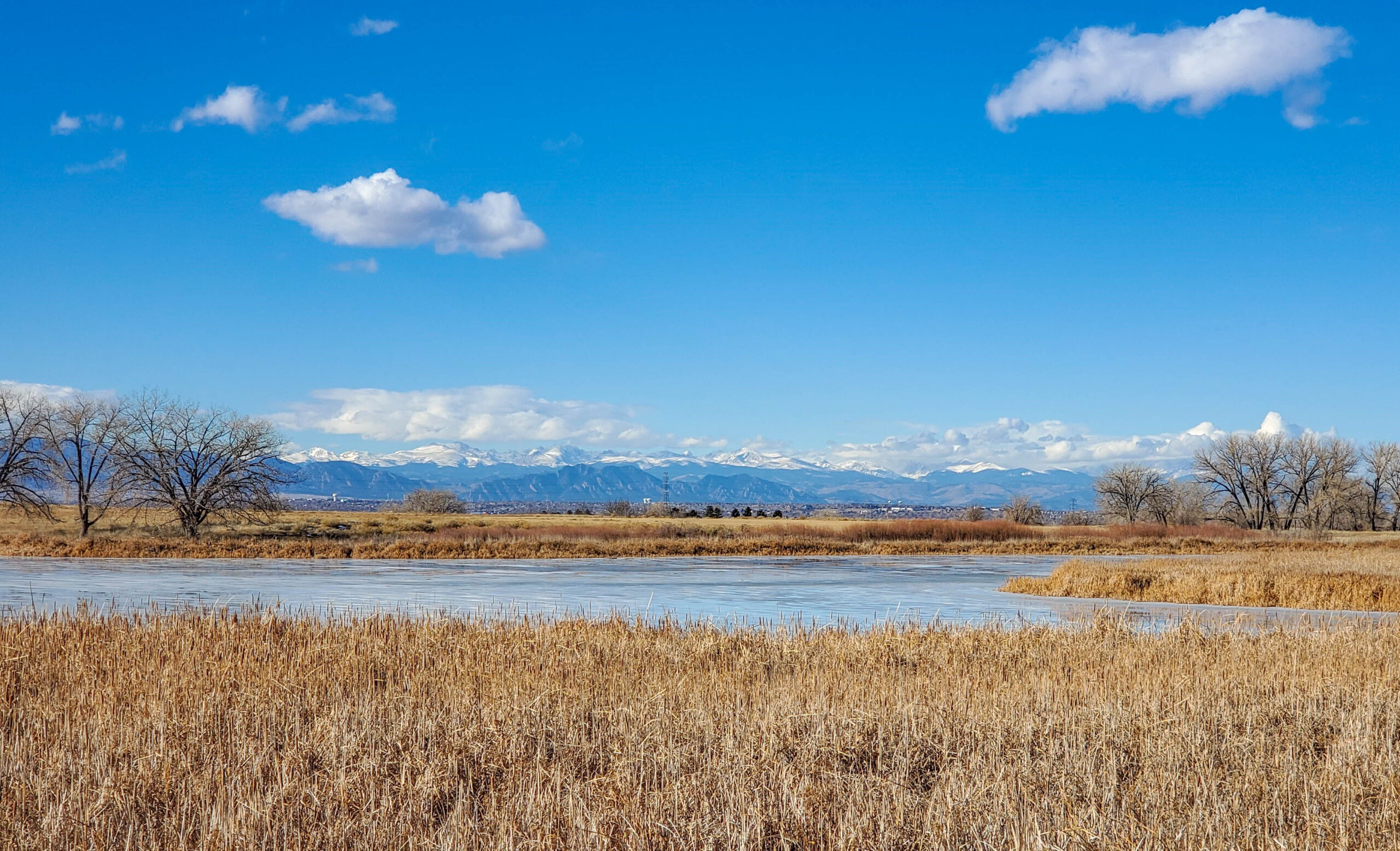 Rocky Mountain Arsenal Vista