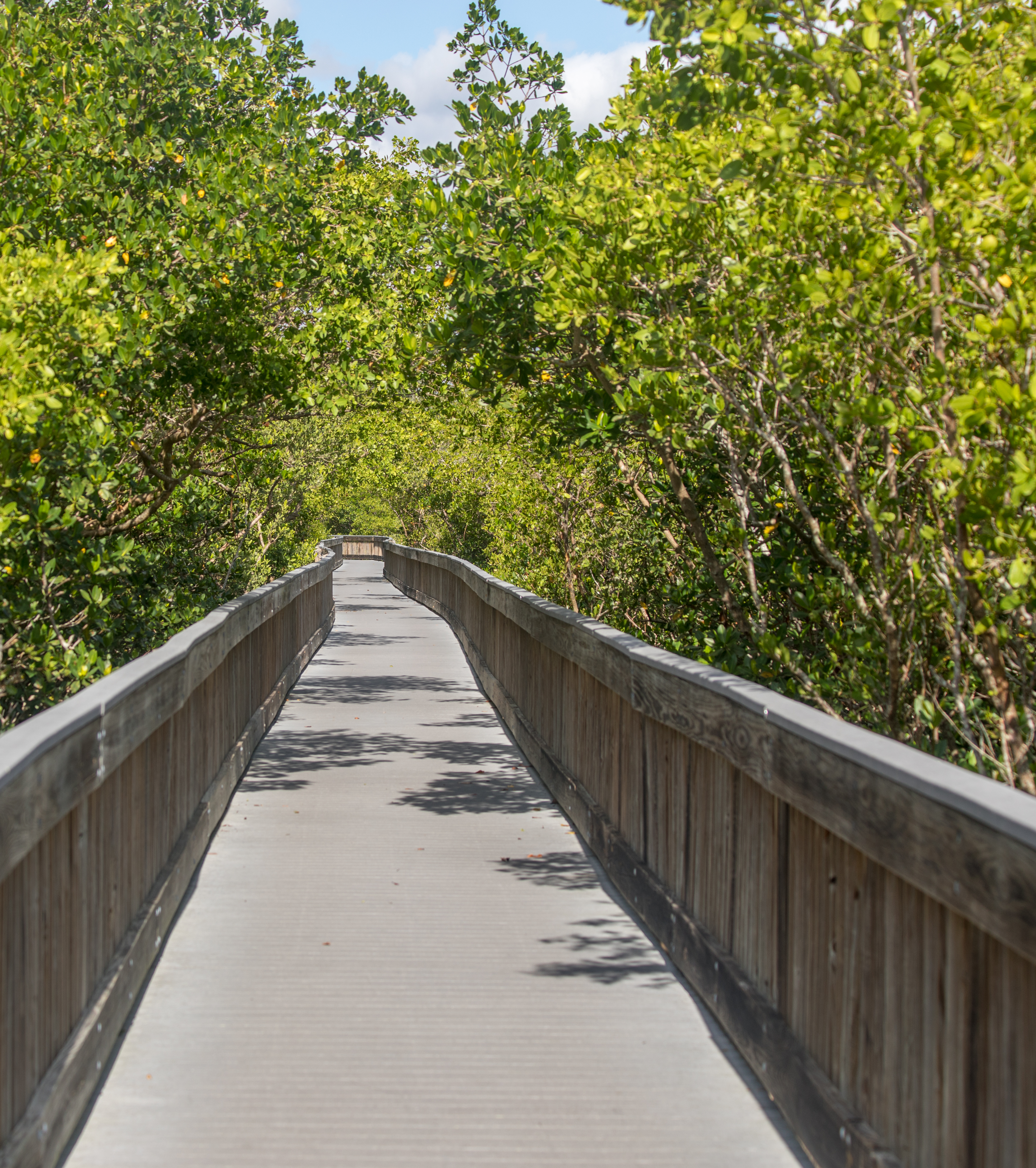 Weedon Island Boardwalk