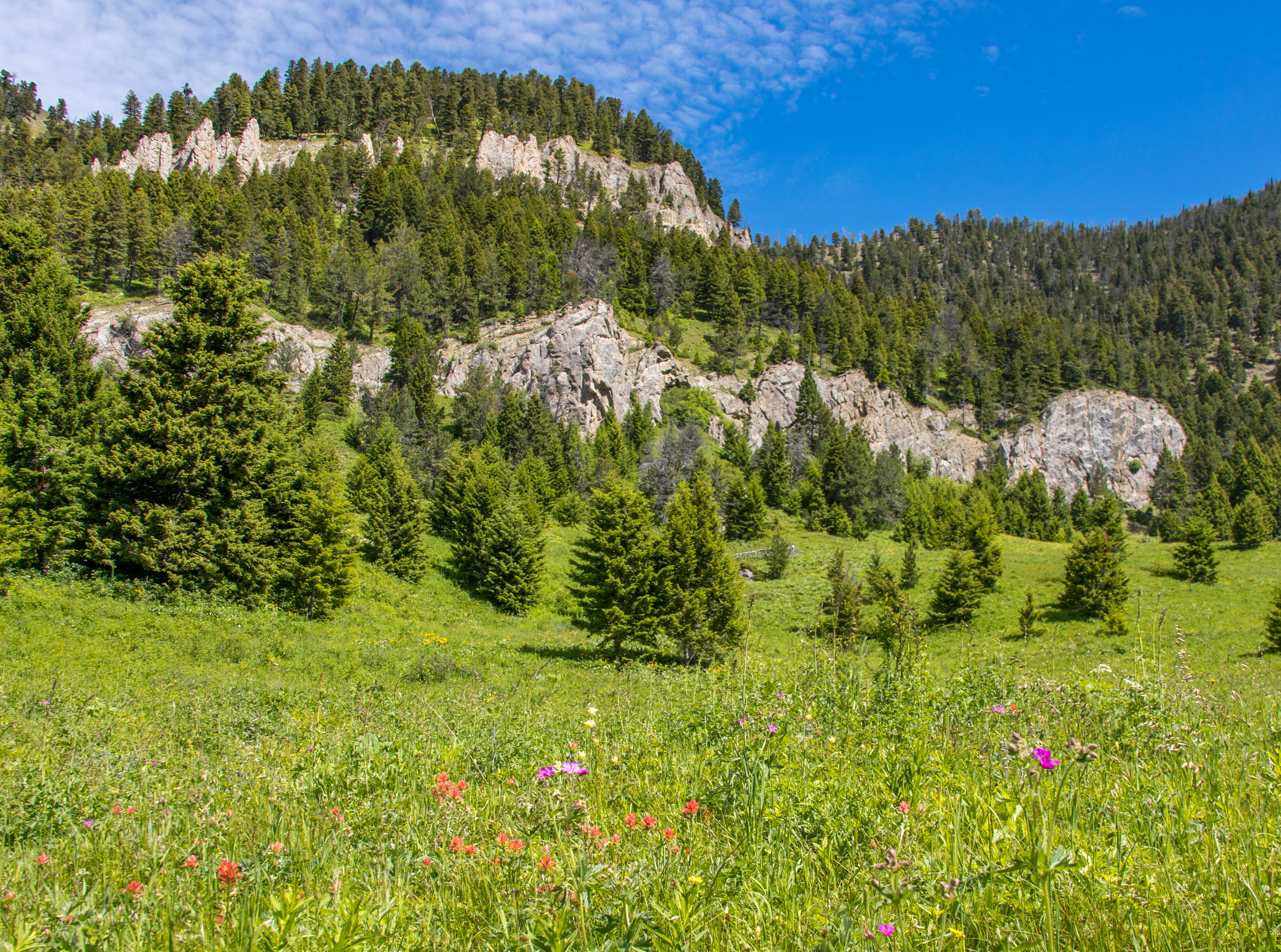 View from Middle Cottonwood Creek Trail