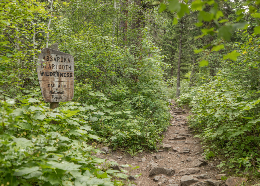 Pine Creek Trail trailhead