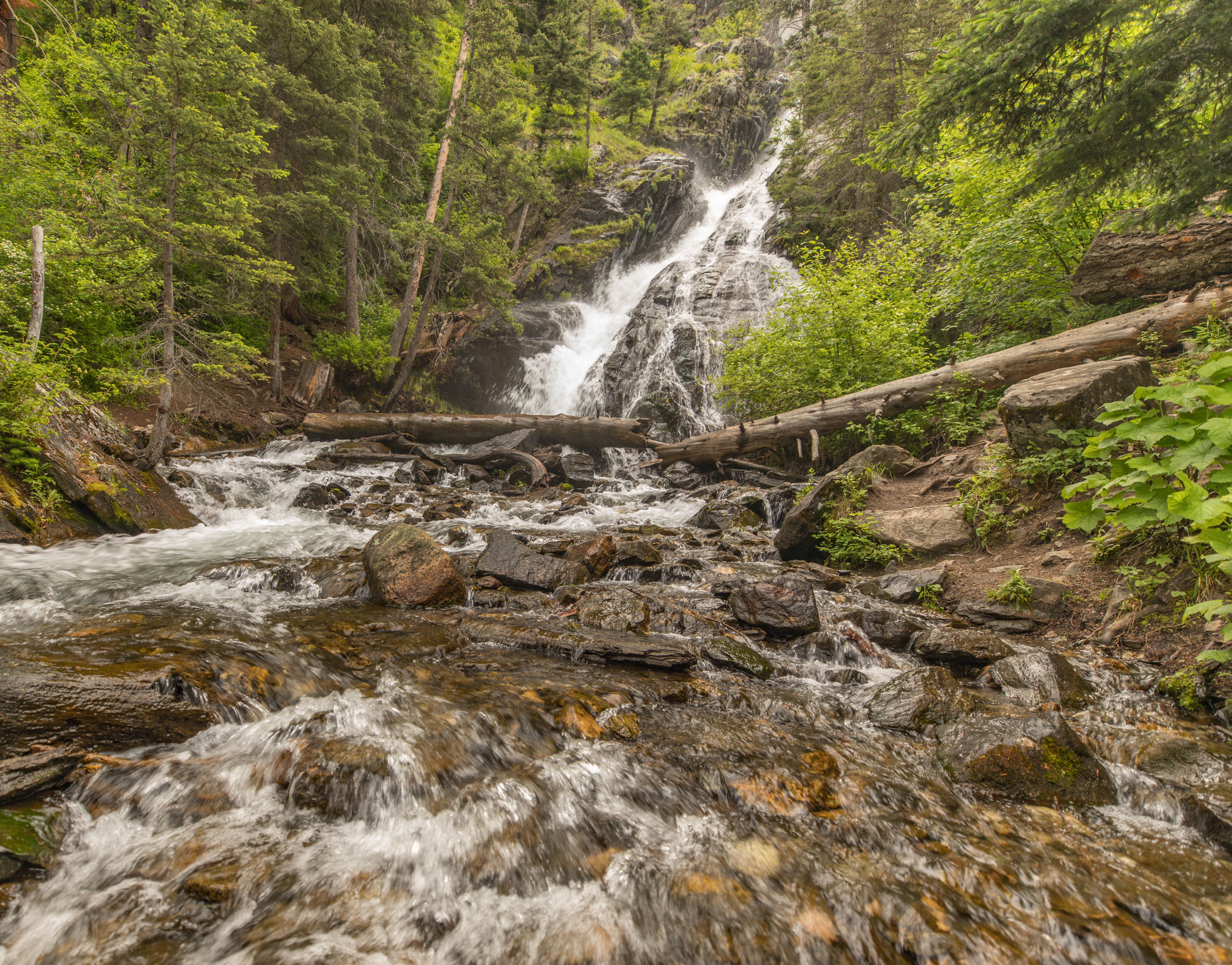 Pine Creek Falls