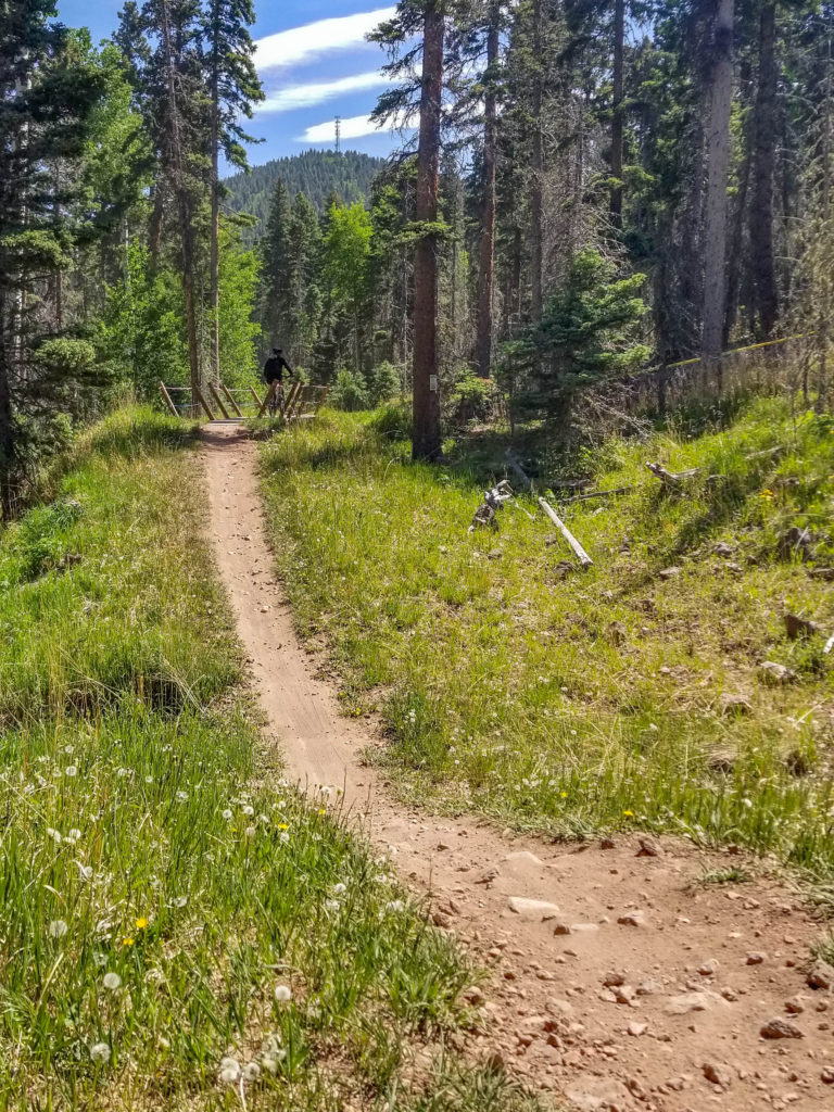 Trail through the trees at Angel Fire Bike Park